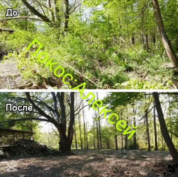 Покос травы, расчистка участка, обработка сорняков
