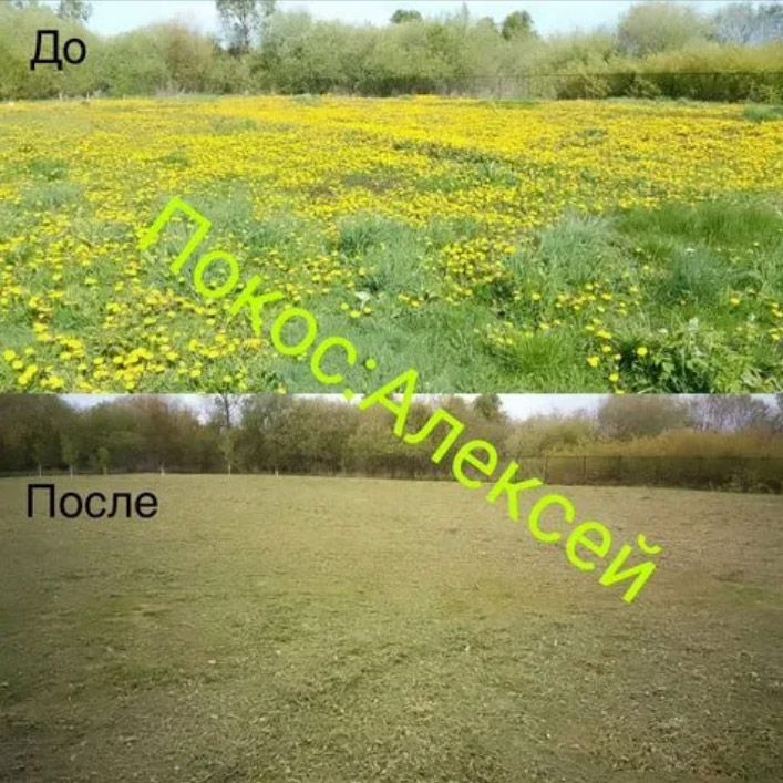 Покос травы, расчистка участка, обработка сорняков