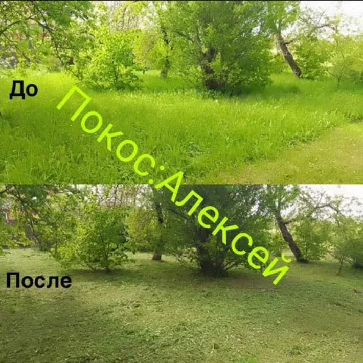Покос травы, расчистка участка, обработка сорняков