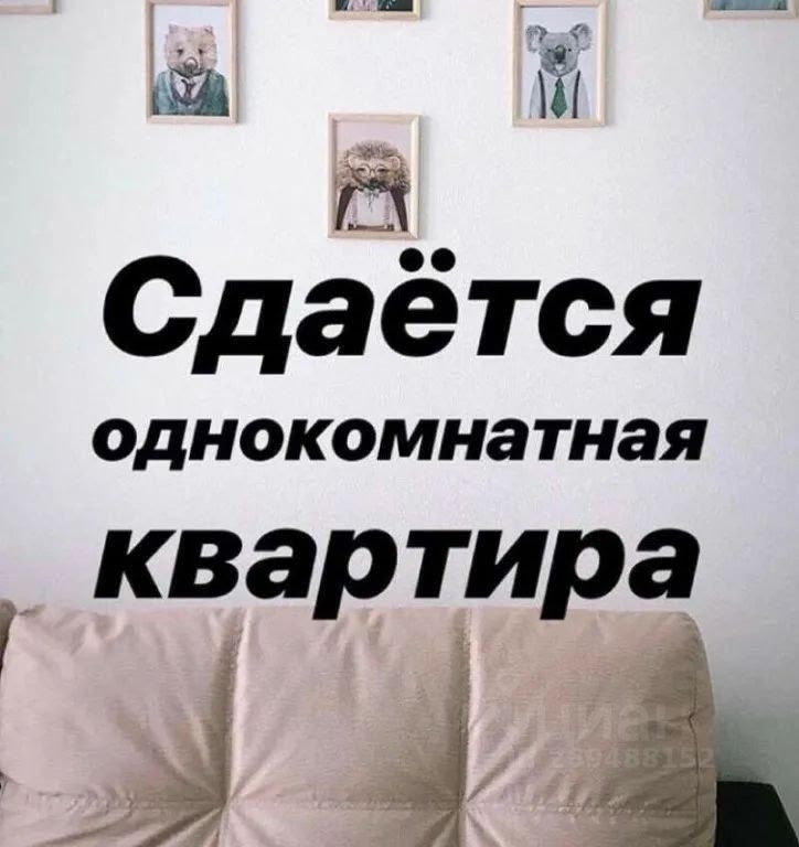 Сдам однокомнатную квартиру в Светлом