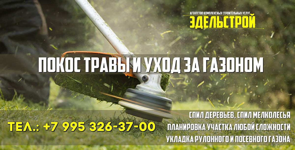 Покос травы, уход за газоном, спил деревьев, спил мелколесья в Калининграде