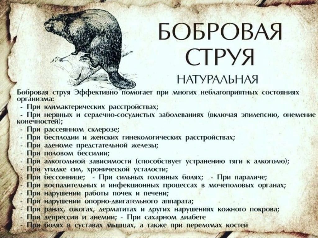 Струя бобра настой и в капсулах