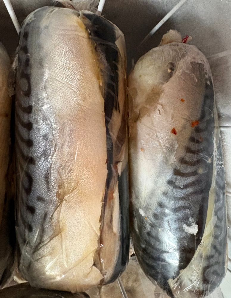 Предлагаем вам широкий ассортимент рыбы и морепродуктов