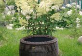 Продам кашпо из ротанга, объём от 12л. до 60л.