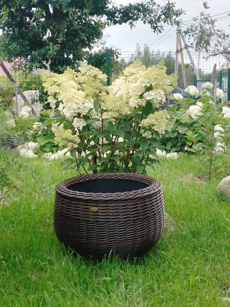 Продам кашпо из ротанга, объём от 12л. до 60л.
