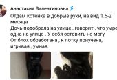Отдам котёнка в добрые руки, на вид 1.5-2 месяца