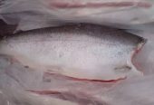 Предлагаем вам широкий ассортимент рыбы и морепродуктов