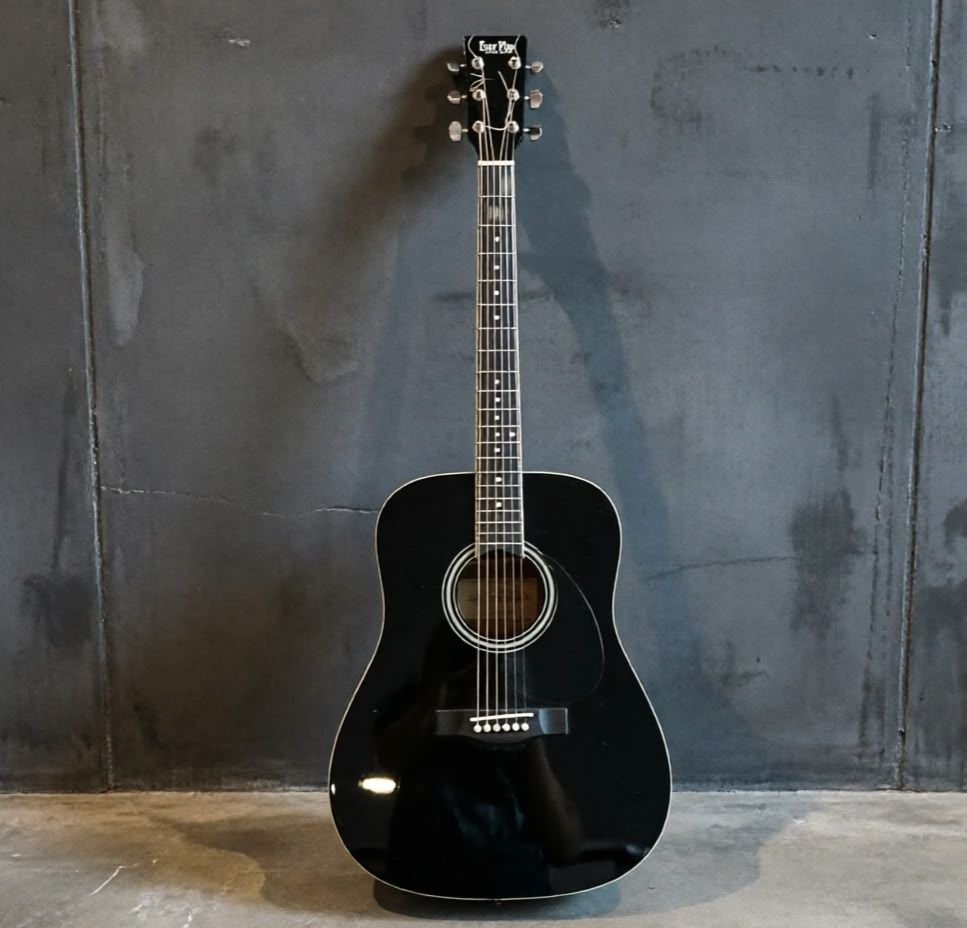 Акустическая гитара Ever play Model AP-306 + чехол