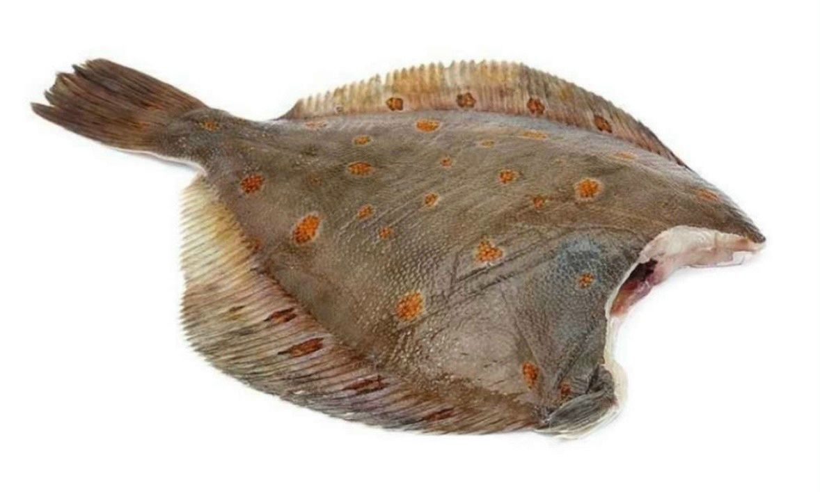 Предлагаем вам широкий ассортимент рыбы и морепродуктов