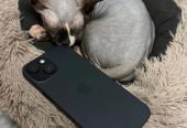 Продам iPhone 15