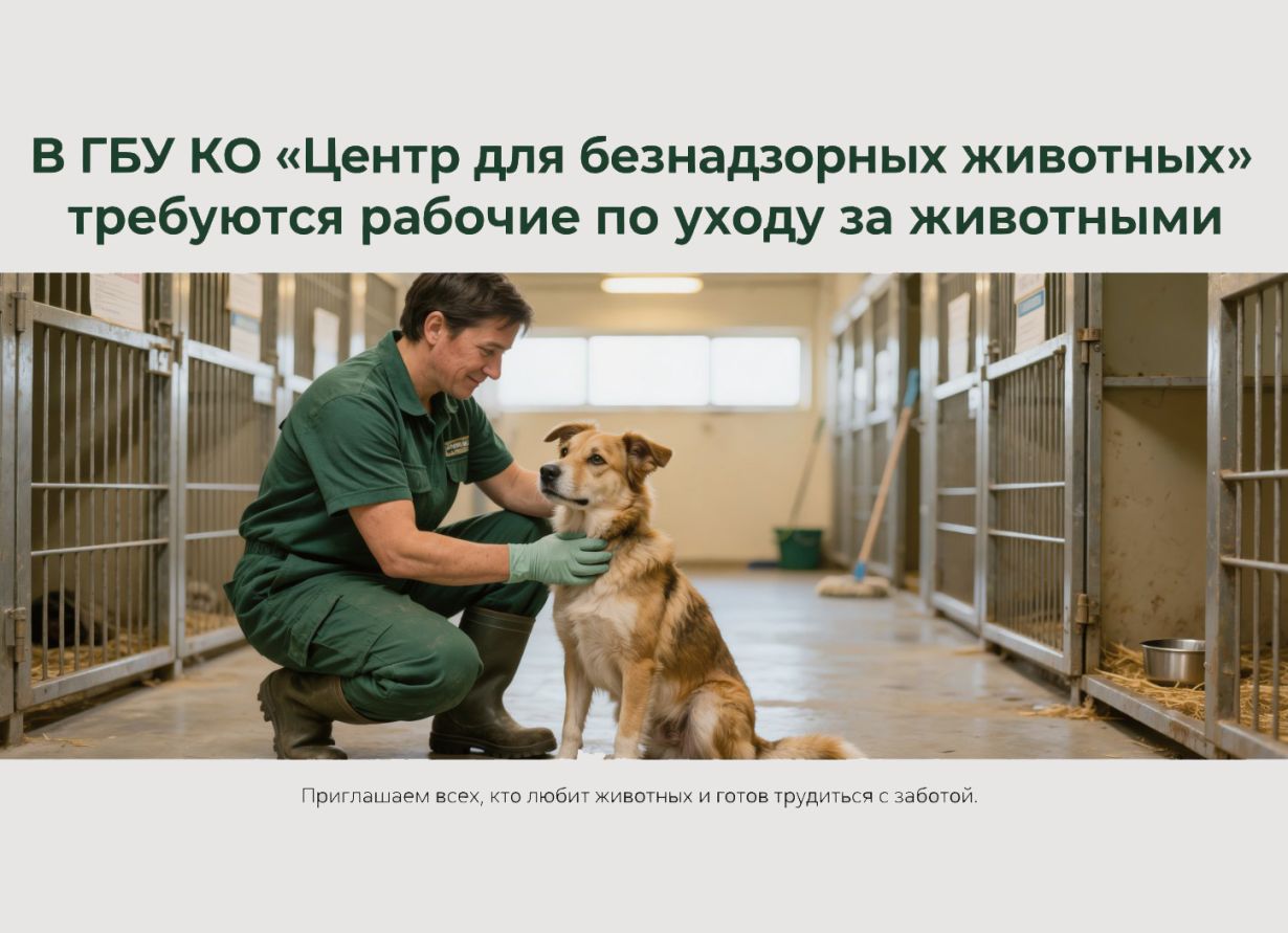 Рабочий по уходу за животными в приют — ГБУ КО «Центр для безнадзорных животных»