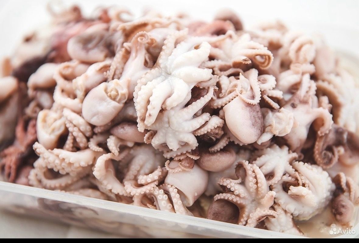 Предлагаем вам широкий ассортимент рыбы и морепродуктов