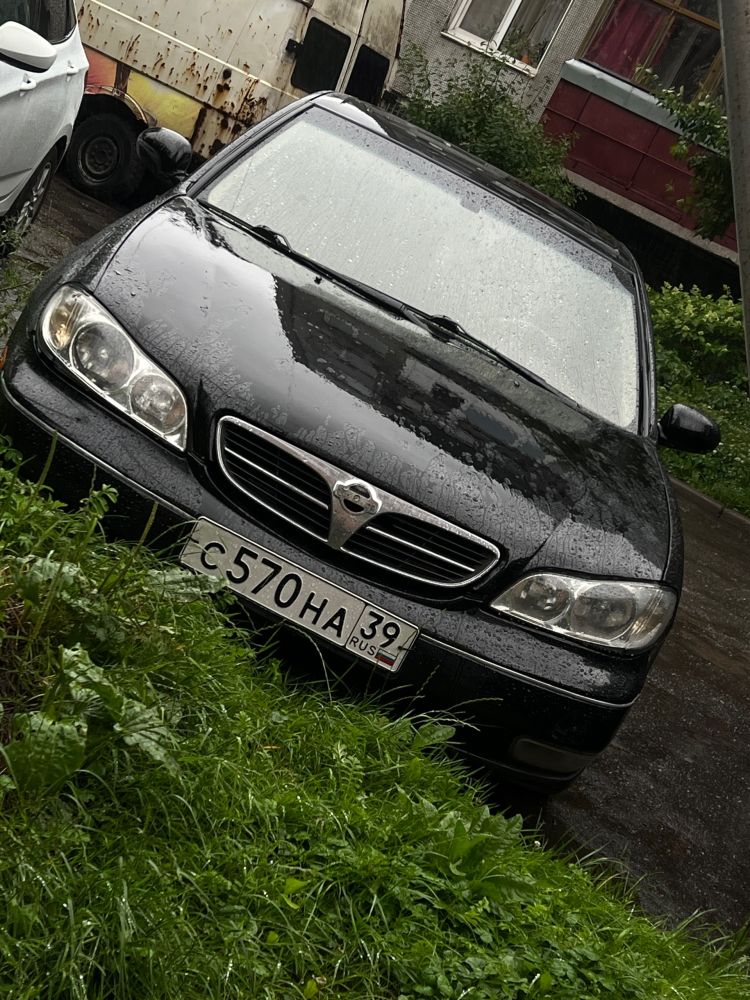 Продам Nissan Maxima 2.0, 2000 г