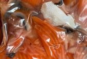 Предлагаем вам широкий ассортимент рыбы и морепродуктов