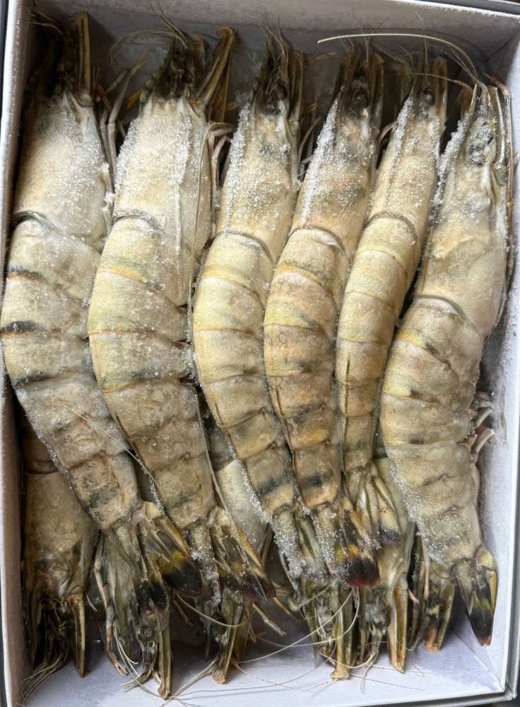Предлагаем вам широкий ассортимент рыбы и морепродуктов
