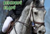 Конный комплекс “Беккер”, экскурсии, занятия с инструктором, катание, фотосессии