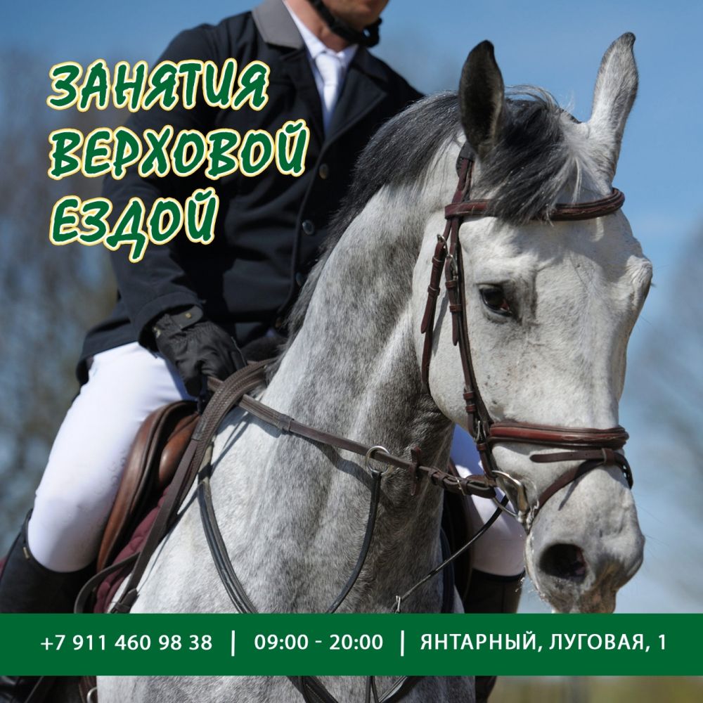 Конный комплекс “Беккер”, экскурсии, занятия с инструктором, катание, фотосессии