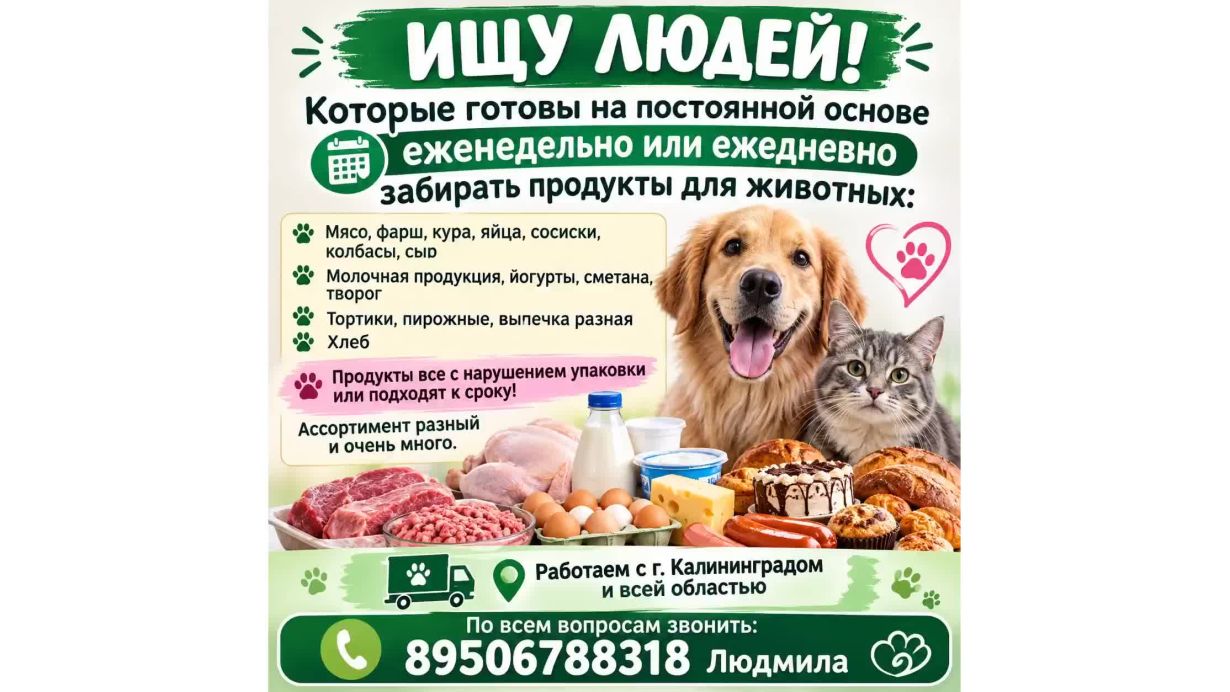 Продукты для животных. Продукты с нарушением упаковки или подходят к сроку