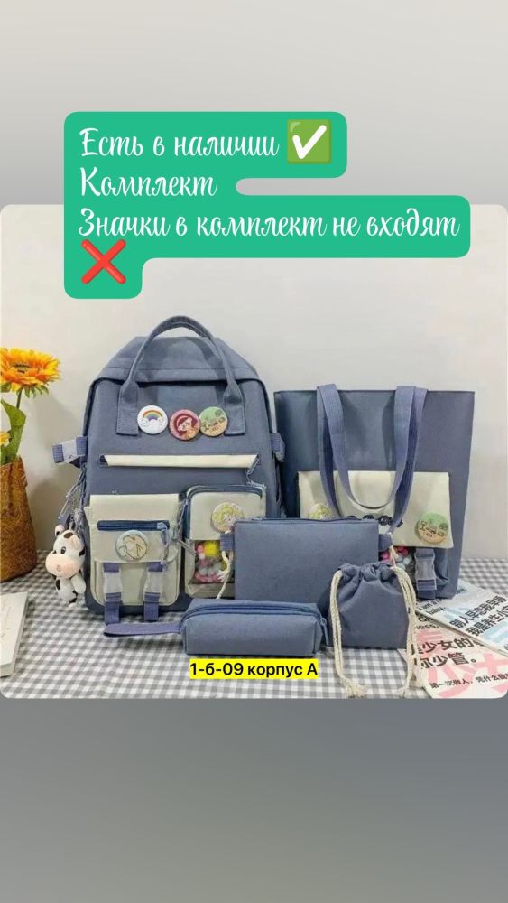 Рюкзаки, портфели