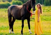 Конный комплекс “Беккер”, экскурсии, занятия с инструктором, катание, фотосессии