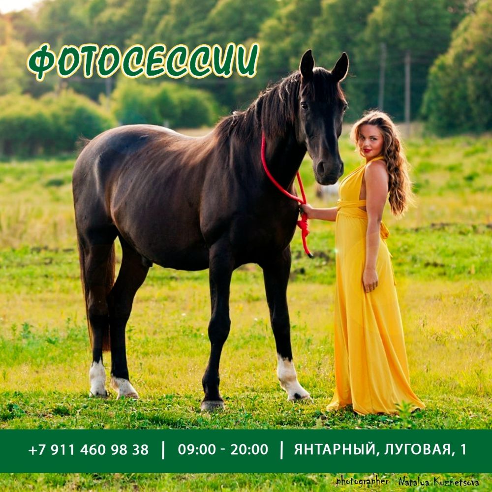 Конный комплекс “Беккер”, экскурсии, занятия с инструктором, катание, фотосессии