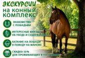 Конный комплекс “Беккер”, экскурсии, занятия с инструктором, катание, фотосессии