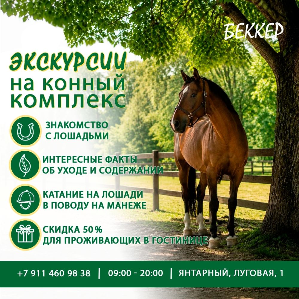 Конный комплекс “Беккер”, экскурсии, занятия с инструктором, катание, фотосессии