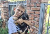 Отдадим щенков мальчиков