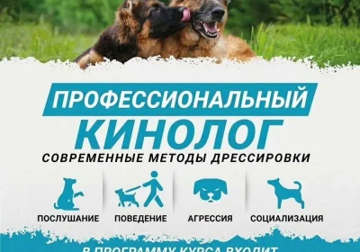 1.fjgocra4uhe4vtp8ki4h3hmqunewqzpnoka6c76jshu4
