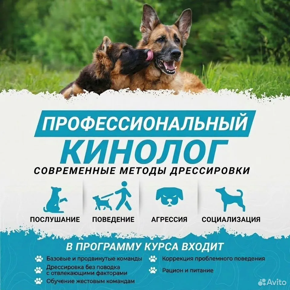 Дрессировка собак. Зоопсихолог